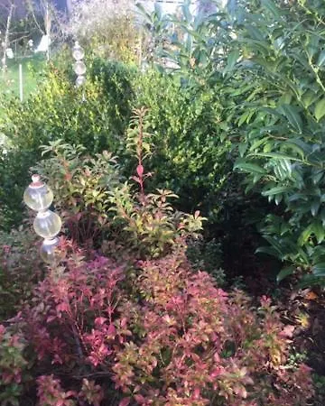 Апартаменты Lieblingsnest Детмольд