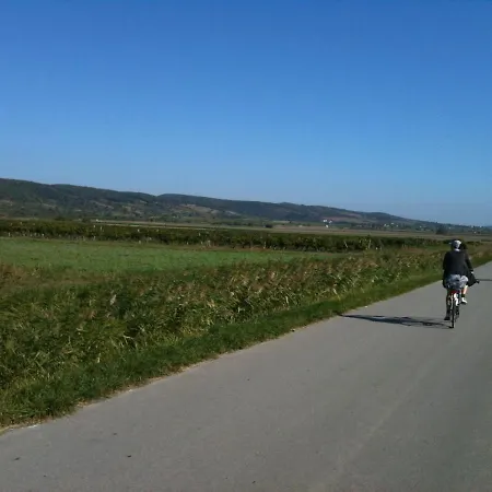 Апартаменты Lieblingsnest *