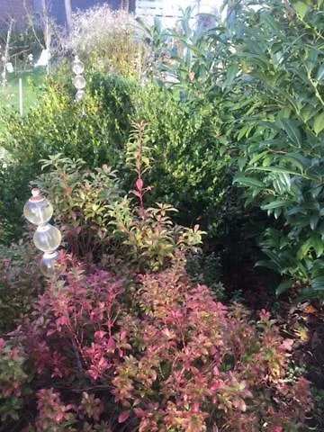 Appartement Lieblingsnest Detmold