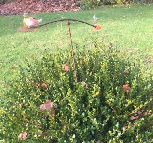 Apartment Lieblingsnest *