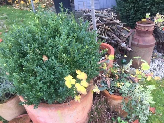 Appartement Lieblingsnest Detmold