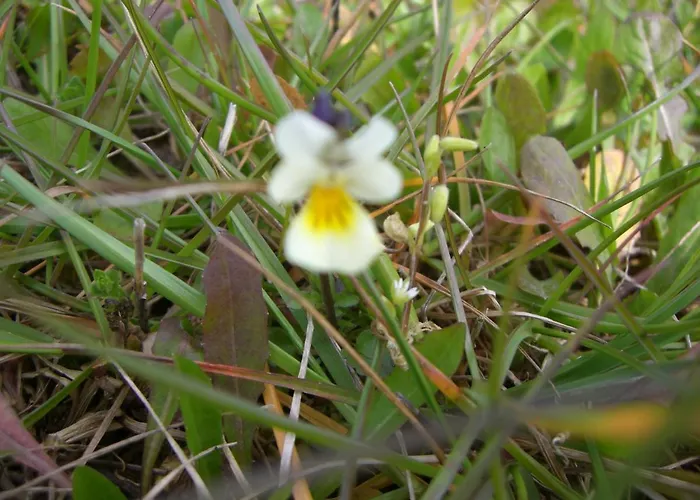 Apartmán Lieblingsnest *