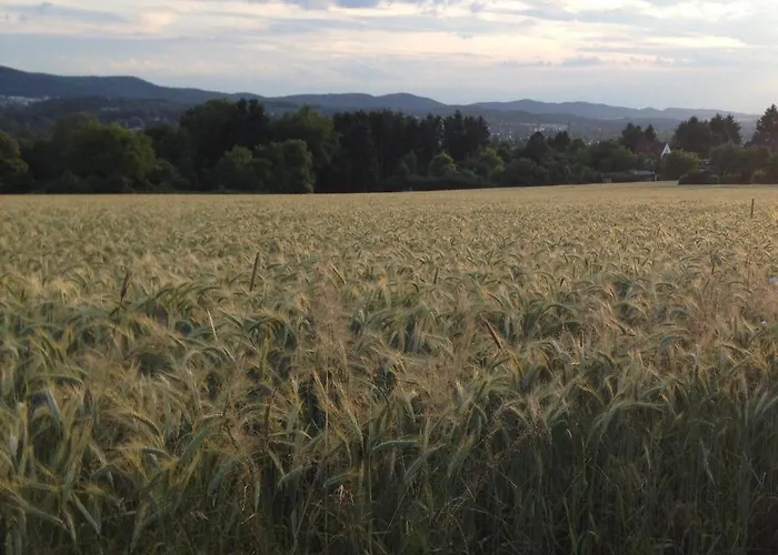 Lieblingsnest * Detmold