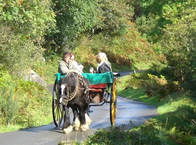 Lieblingsnest Apartment *