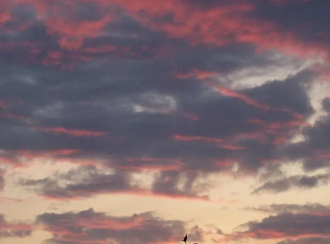 Appartement Lieblingsnest Detmold